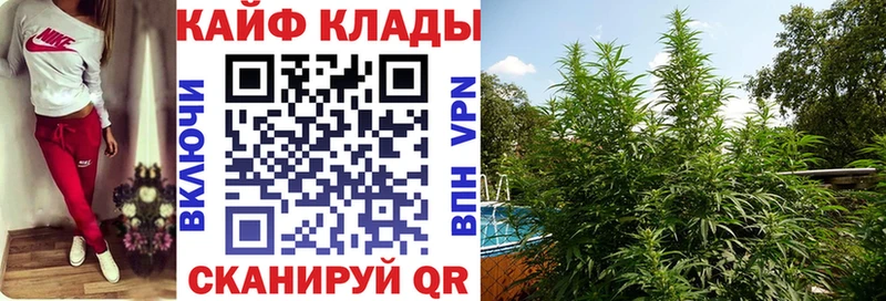 Купить наркотики цена Курган APVP  Меф  ГАШИШ  КОКАИН 