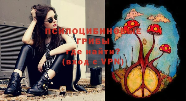 наркотики Алексин