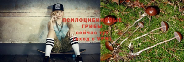 спайс Алзамай