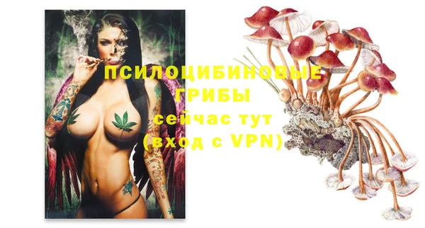 наркотики Алексин
