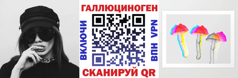 OMG маркетплейс  Курган  Псилоцибиновые грибы GOLDEN TEACHER 