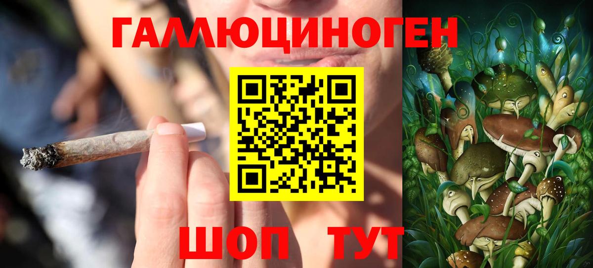 Псилоцибиновые грибы прущие грибы Курган