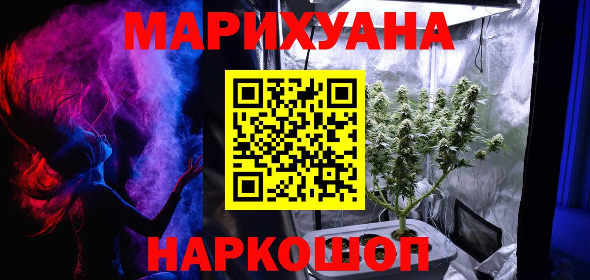 Шишки марихуана семена  Марихуана планчик  Курган  Бошки марихуана марихуана  Вход с VPN 